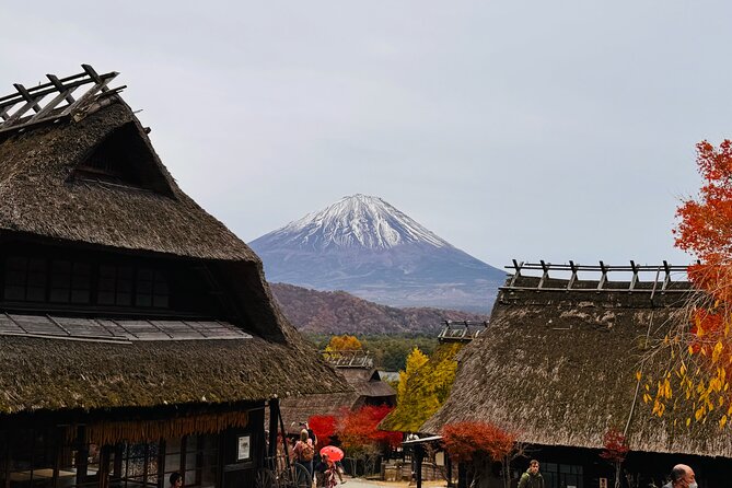 Tokyo: Mt.Fuji & Lake Kawaguchiko 1-Day Bus Tour w/Optional Lunch - Who should book this Mt. Fuji day trip?