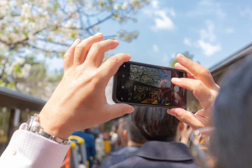 Tokyo: Open Top Panoramic Sightseeing Bus with Audio Guide - Bay Course: Tokyo Tower to Odaiba