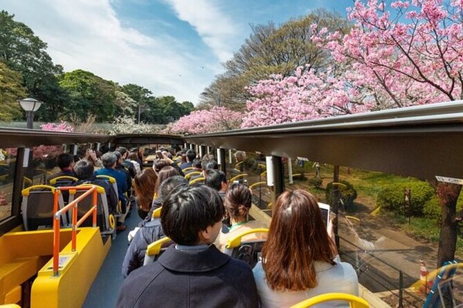 Tokyo: Open Top Sightseeing Bus with Audio Guide - Key points to know before you book