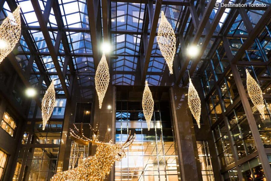 Toronto: Festive Lights Bus Tour - Is $36 a fair price?