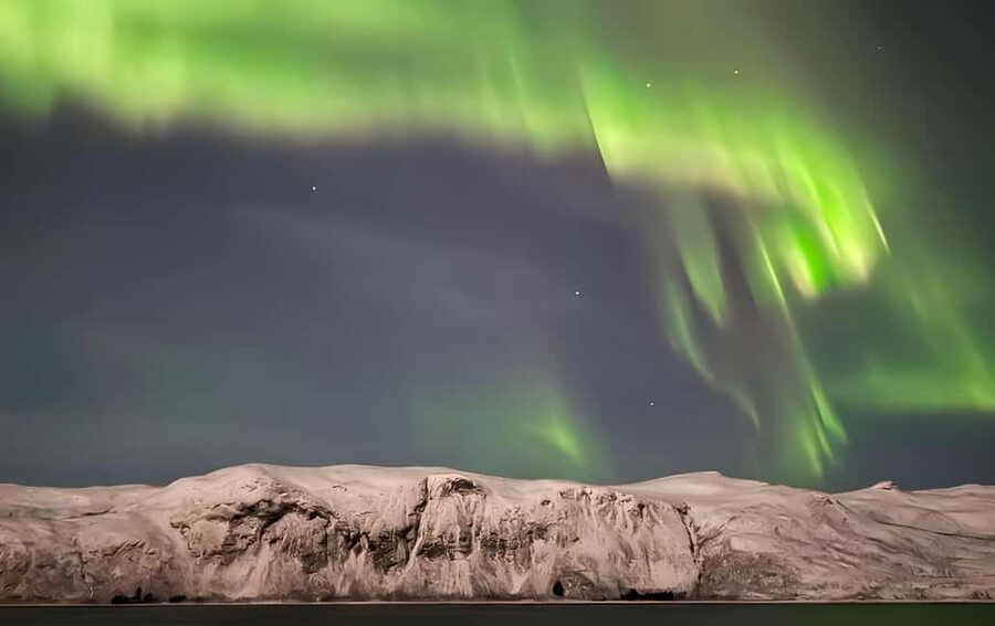 Tromsø: Northern Lights Bus Tour with Free Photography - Why a bus is useful for aurora hunting