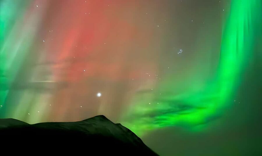 Tromsø: Northern Lights Bus Tour with Free Photography - Is the $61 price fair?