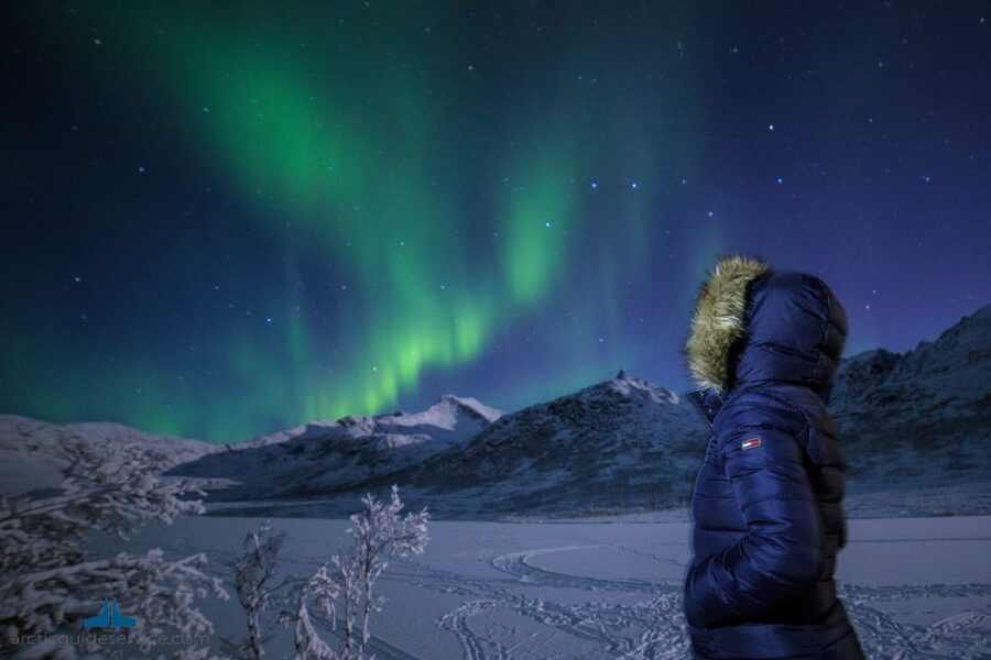 Tromso: Northern Lights Chase with Photo Package Included - Photography help and the included pictures