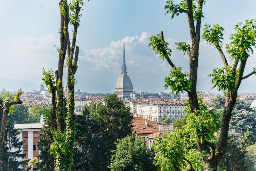 Turin: Hop-on Hop-off Bus Tour with 24 or 48-Hour Ticket - Blue Line: cars, design, and Turin’s modern side