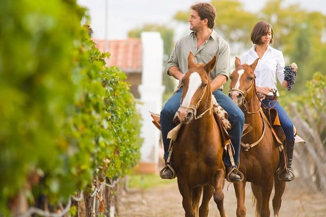 Villages of Chianti with lunch and tasting in Open Top Van - Is $256.15 a fair price?
