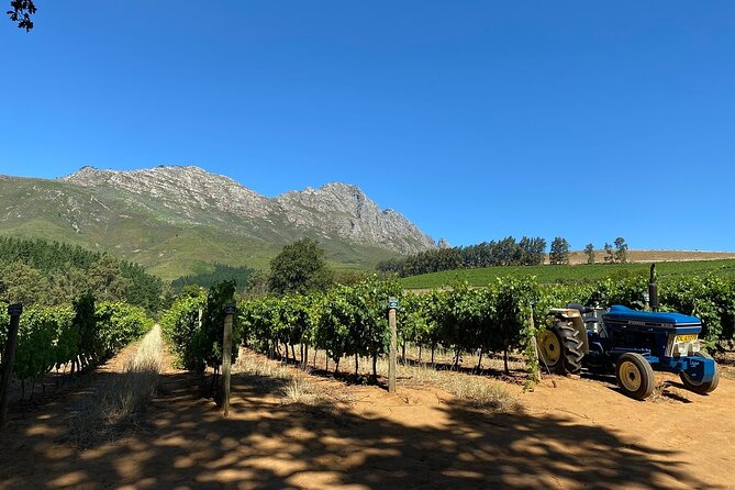 Vine Hopper: Hop-On Hop-Off Wine Tour - Northern Route - Simonsig: Start with sparkling wine