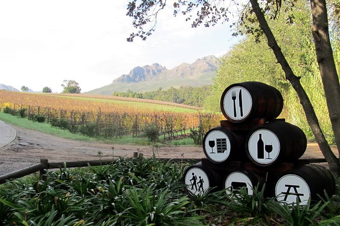 Vine Hopper: Hop-On Hop-Off Wine Tour - Southern Route - What the 4.7 rating tells you