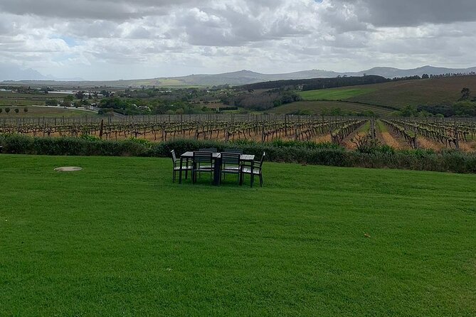 Vine Hopper: Hop-On Hop-Off Wine Tour - Southern Route - Starting at Landbousaal or in central Stellenbosch