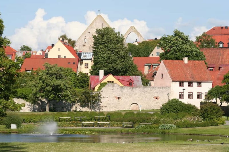 Visby: Hop-On Hop-Off 1 day Bus Tour - Who should book this Visby tour?