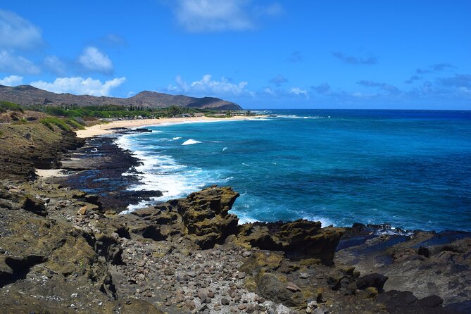 Waikiki Trolley Blue Line Coastline & Local Grindz Hop-on Hop-off - Sea Life Park and Makapu’u Beach offer the biggest optional outing