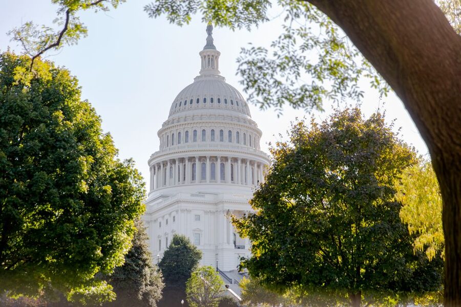 Washington DC: Bus Tour to the Highlights of the Capital - The National Mall from the comfort of the bus