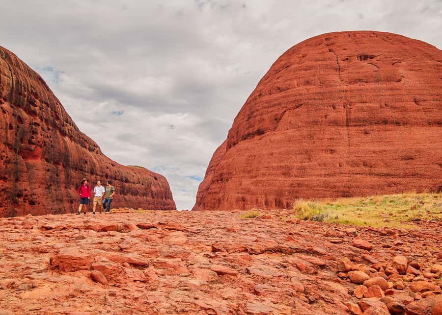 Yulara: Uluru Sunrise and Kata Tjuta Day Trip by Bus - Who will enjoy this five-hour outing?
