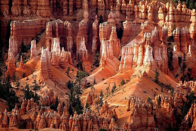 Zion & Bryce Canyon National Parks 1-Day Bus Tour - What this $199 day trip is really selling