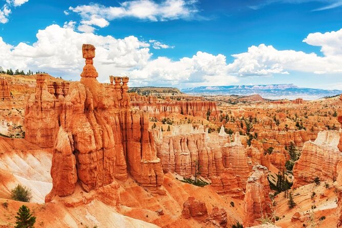 Zion & Bryce Canyon National Parks 1-Day Bus Tour - The Las Vegas start requires careful attention