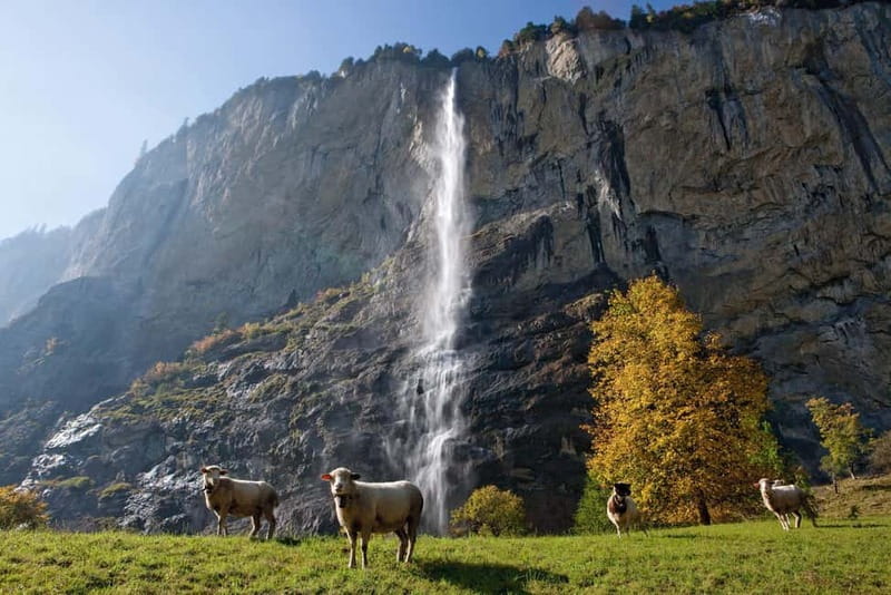 Zurich: Day Trip to Grindelwald, Interlaken & Lauterbrunnen - Grindelwald: the day’s best chance for mountain time