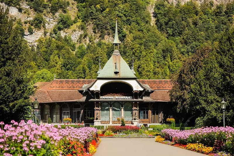 Zurich: Day Trip to Grindelwald, Interlaken & Lauterbrunnen - Who should book this experience?